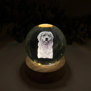 Personalized Crystal Ball Night Light For Pet lovers