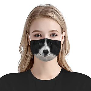 Border Collie Dog EZ08 1304 Face Mask