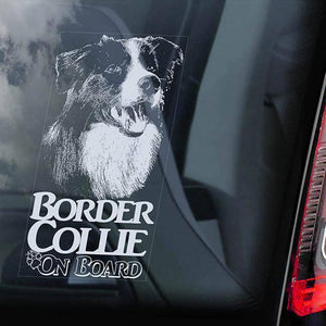 Border Collie2 on Board-Car Window Sticker-Dog Sign Decal
