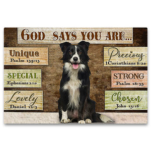 Border Collie God Says You Are Doormat