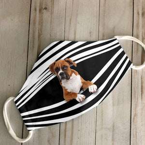 Boxers Stripes EZ16 1807 Face Mask
