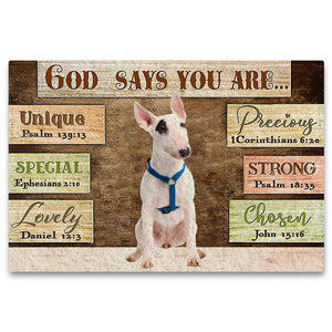 Bull Terrier (4) God Says You Are Doormat