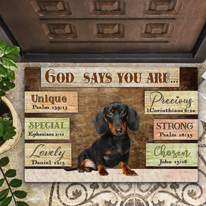 Dachshund (4) God Says You Are Doormat
