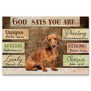 Dachshund (7) God Says You Are Doormat