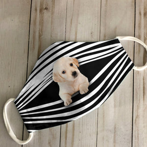 Golden Retriever Stripes EZ16 1807 Face Mask