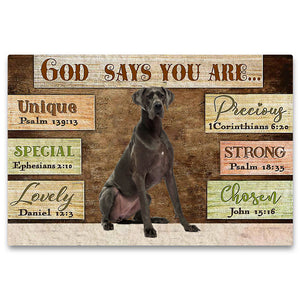 Great Dane (3) God Says You Are Doormat