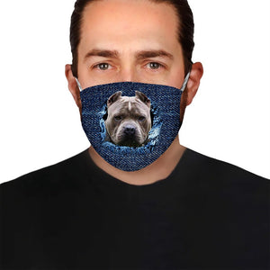 Pitbull Jean EZ01 0805 Face Mask
