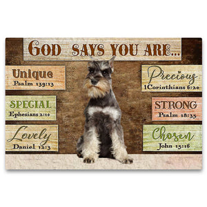 Schnauzer (3) God Says You Are Doormat