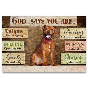 Staffordshire Bull Terrier God Says You Are Doormat