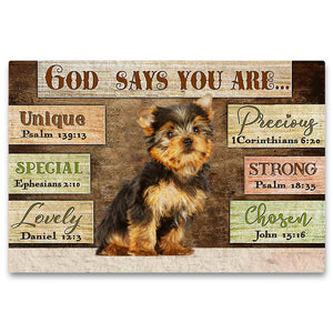 Yorkshire Terrier God Says You Are Doormat