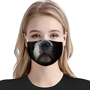 Boston Terrier Face EZ01 Face Mask