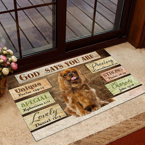 Cavalier King Charles Spaniel (3) God Says You Are Doormat