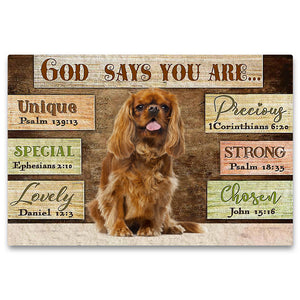 Cavalier King Charles Spaniel (3) God Says You Are Doormat