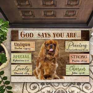 Cavalier King Charles Spaniel (3) God Says You Are Doormat