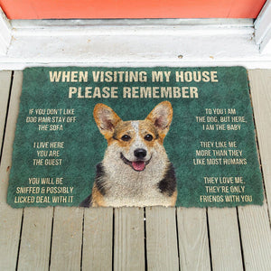 Bugybox 3D Please Remember Corgi Dog's House Rules Doormat