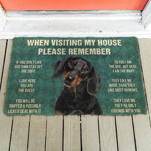 Bugybox 3D Please Remember Dachshunds Dog's House Rules Doormat