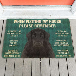 Bugybox 3D Please Remember Flat Coated Retriever Dogs House Rules Doormat
