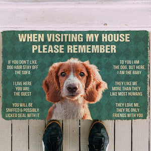 Bugybox 3D Please Remember Irish Red and White Setter Dogs House Rules Doormat
