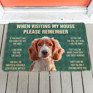 Bugybox 3D Please Remember Irish Red and White Setter Dogs House Rules Doormat