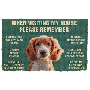 Bugybox 3D Please Remember Irish Red and White Setter Dogs House Rules Doormat