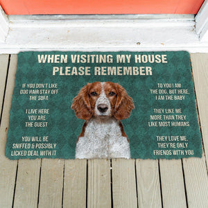 Bugybox 3D Please Remember Welsh Springer Spaniel Dogs House Rules Doormat