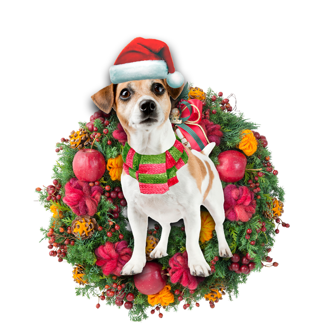 Jack Russell Terrier Christmas Ornament Bugybox