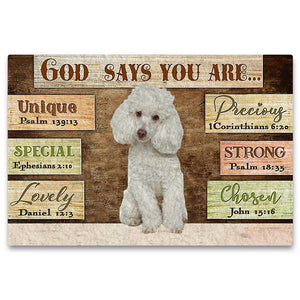 Poodle (1) God Says You Are Doormat