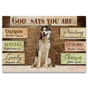 Siberian Husky2 God Says You Are Doormat