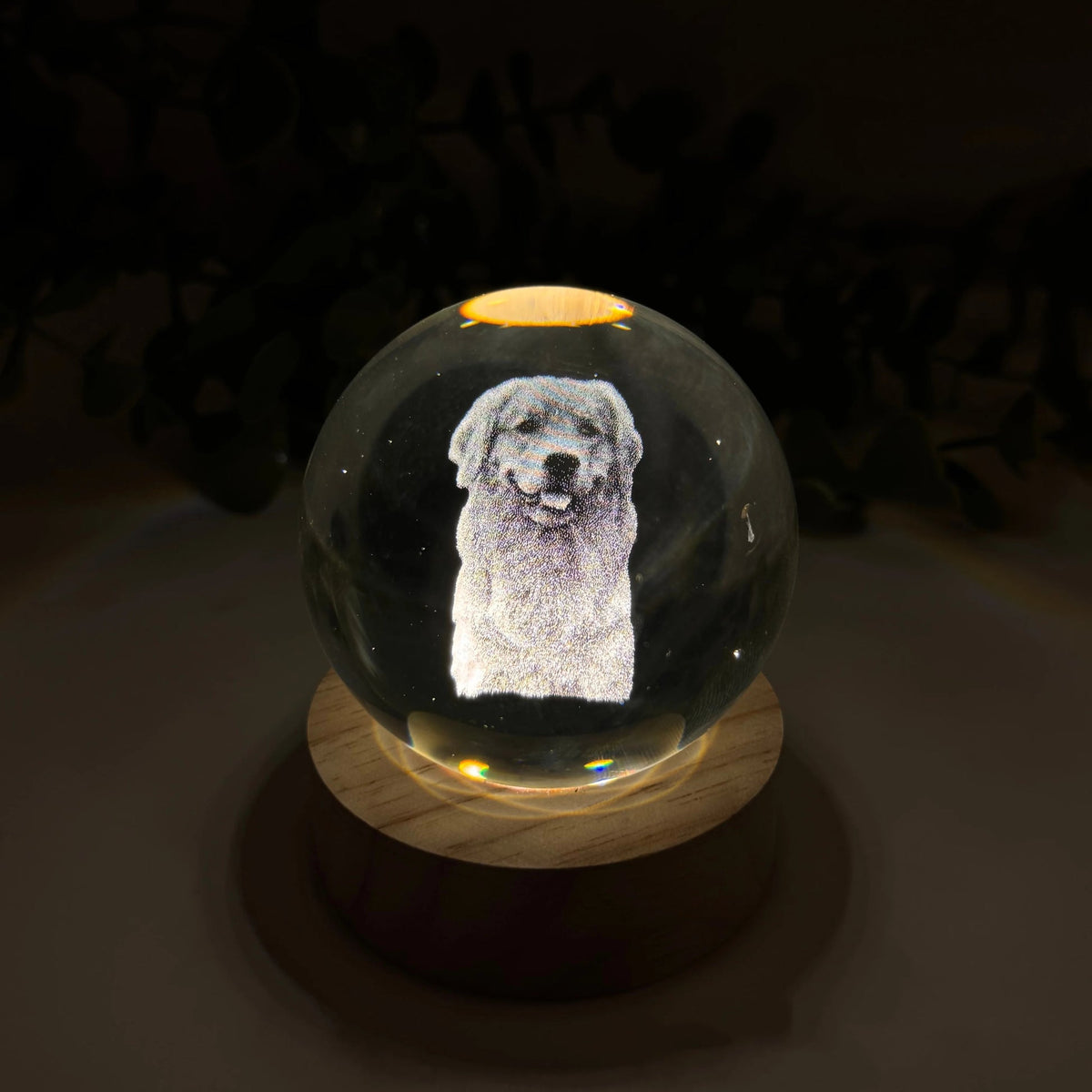 Personalized Crystal Ball Night Light For Pet lovers