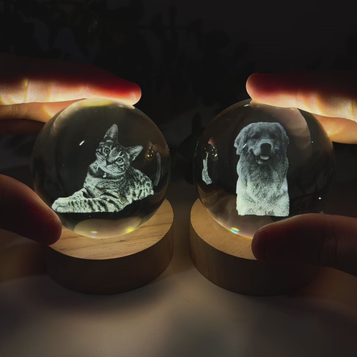 Personalized Crystal Ball Night Light For Pet lovers