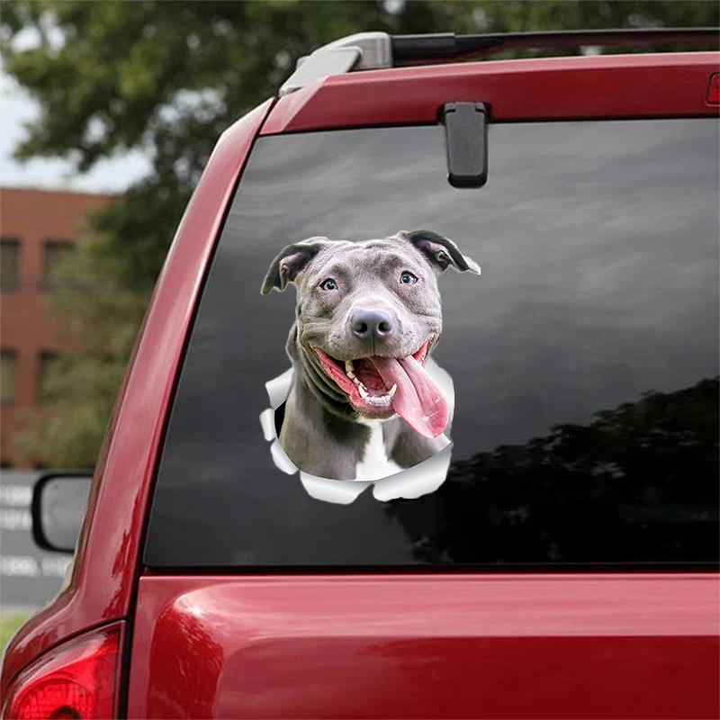 CUTE PITBULL CRACK CAR STICKER