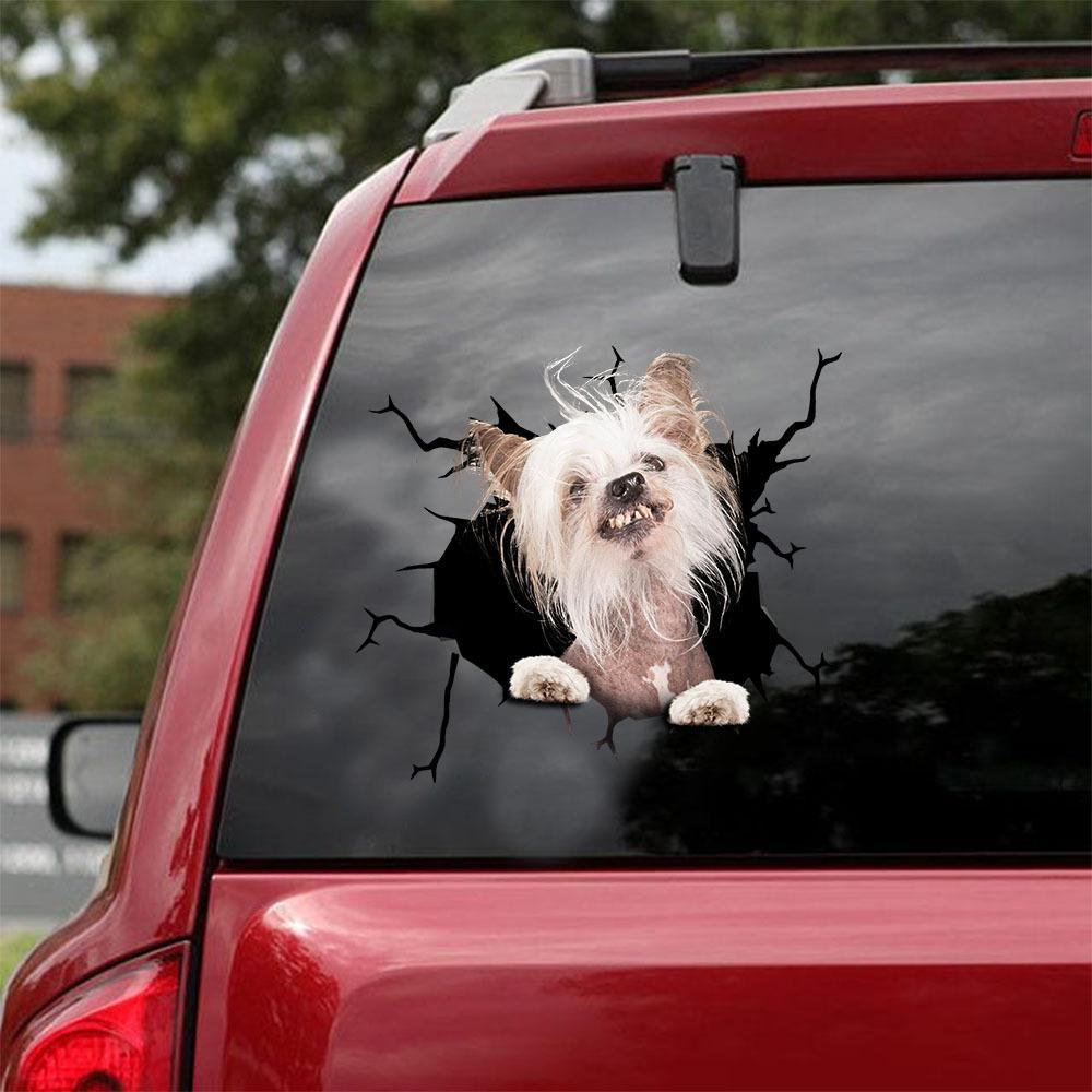 CHINESE CRESTED CRACK CAR STICKER 4