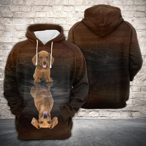 Cute Dachshund Reflection All Over Hoodie