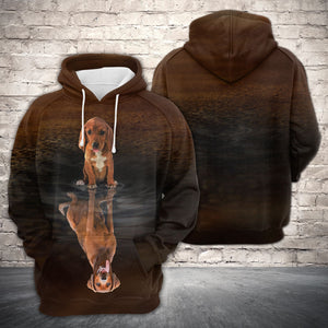 Cute Redbone Coonhound 2 Reflection All Over Hoodie