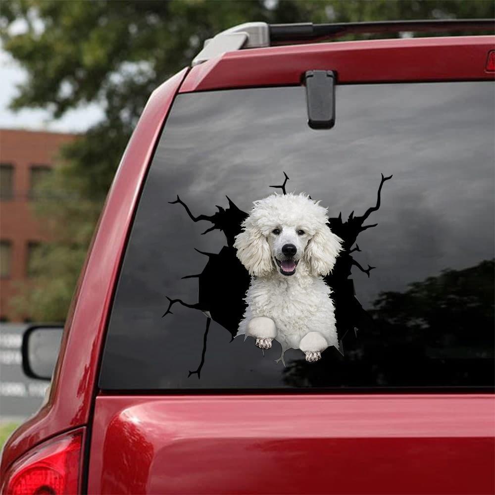 Poodle Crack Car Sticker, Toilet Sticker, Fridge Sticker 7