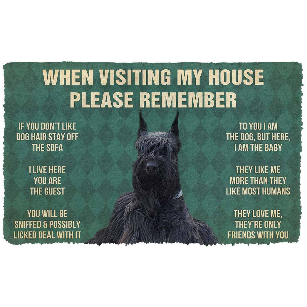 Bugybox 3D Please Remember Dogs House Rules Doormat