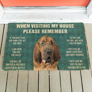 Bugybox 3D Please Remember Bloodhound Dogs House Rules Doormat