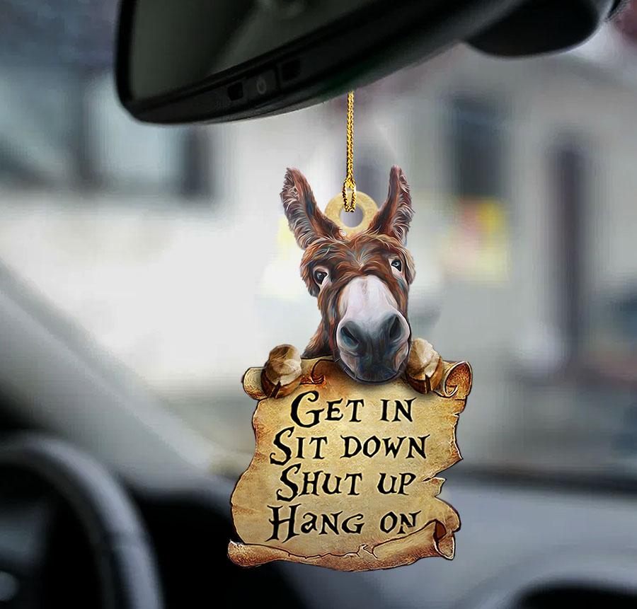 Donkey get in donkey lovers two sided ornament