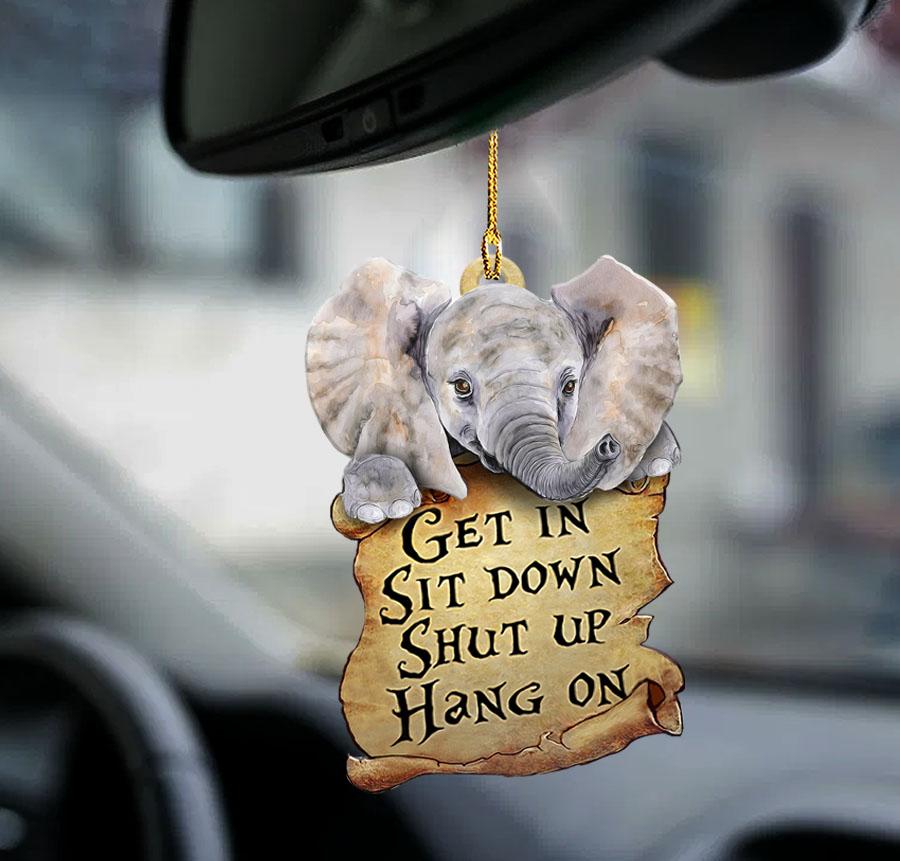 Elephant get in elephant lover two sided ornament