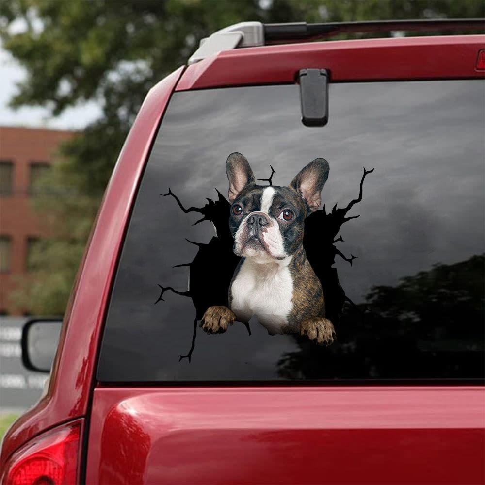 BOSTON TERRIER CRACK STICKER 2