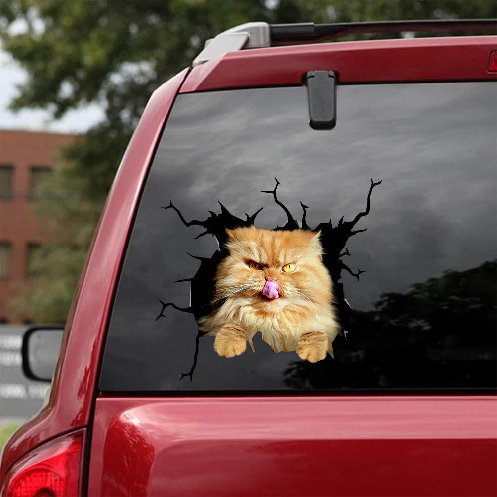 Car Sticker Cats Lover (43)