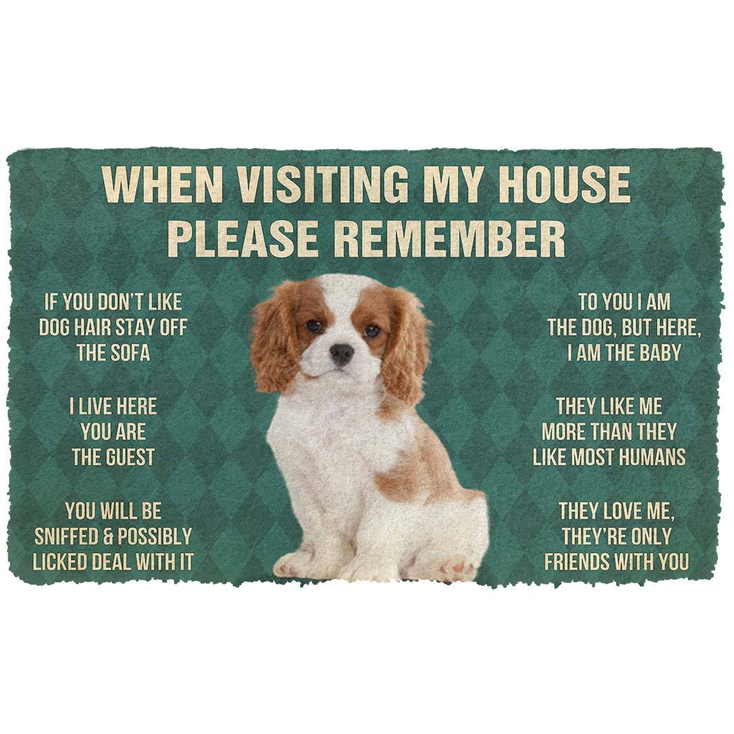 Bugybox 3D Please Remember Cavalier King Charles Spaniel Dogs Puppy Dogs House Rules Doormat