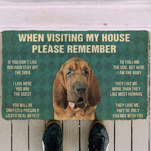 Bugybox 3D Please Remember Bloodhound Dogs House Rules Doormat