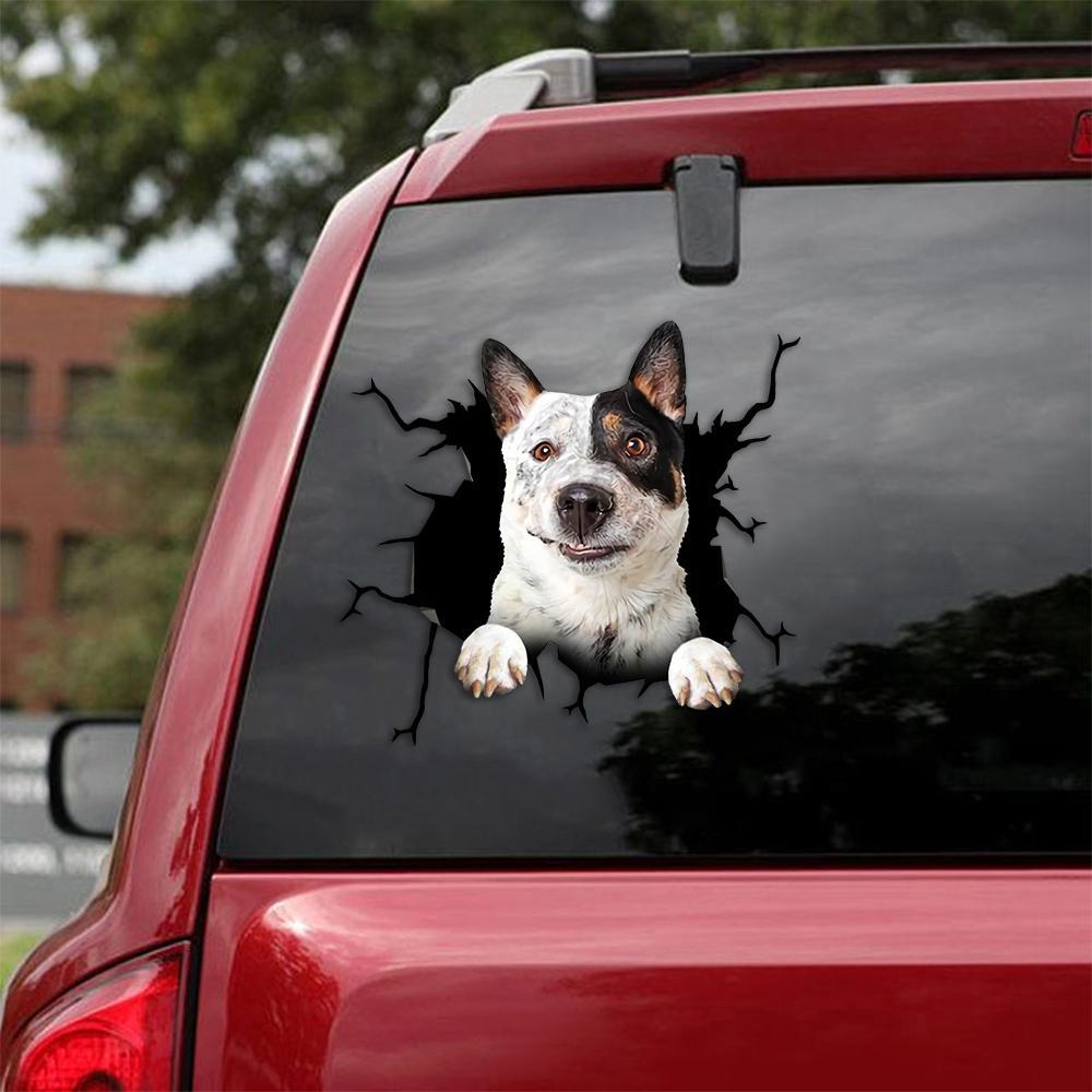 Australian Cattle Dog Crack Car Sticker 3