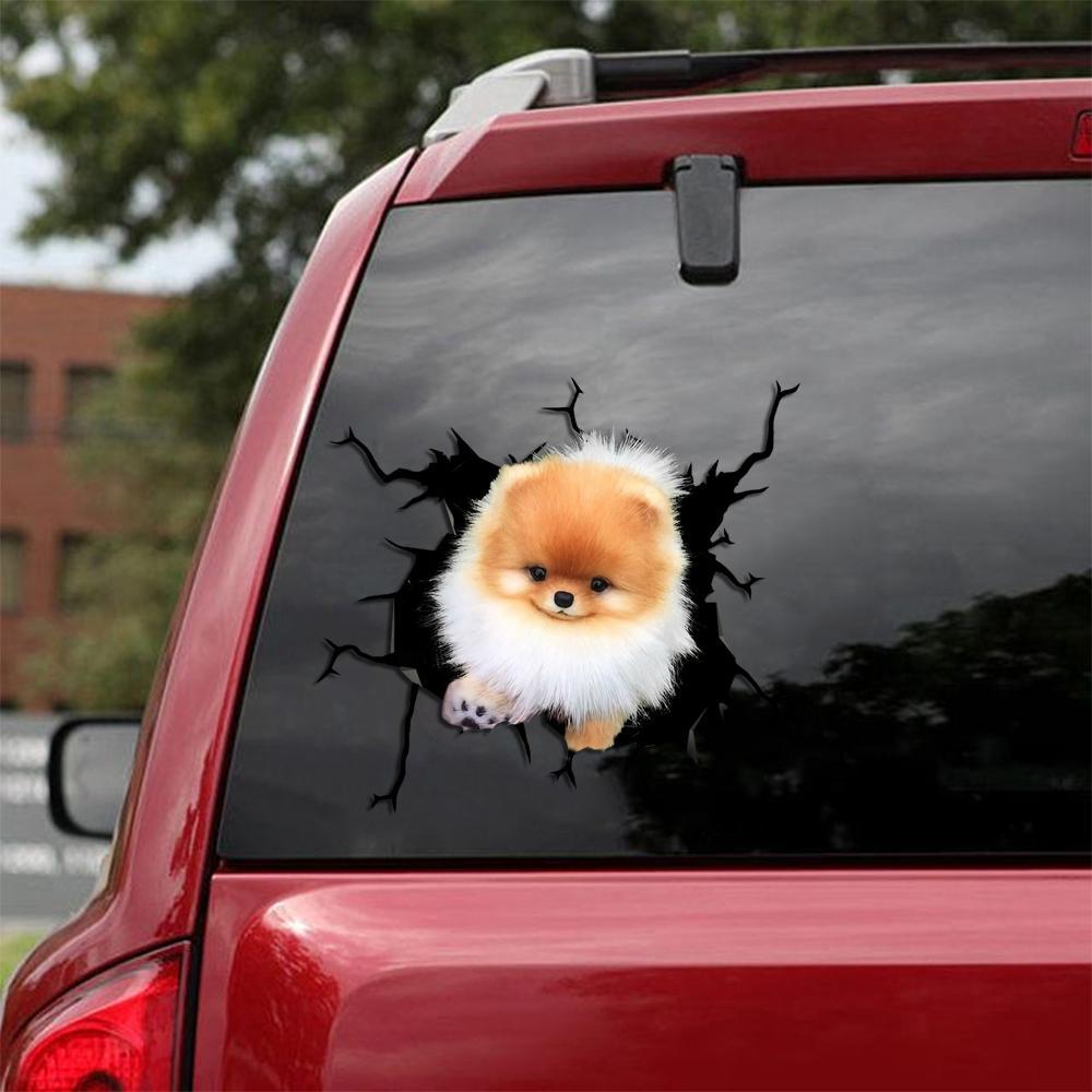 Pomeranian Crack Car Sticker, Toilet Sticker, Fridge Sticker 15