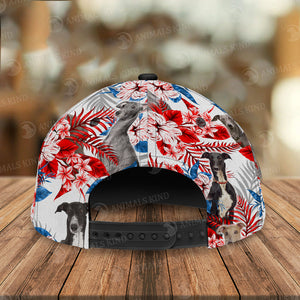 Greyhound - American Flag Cap