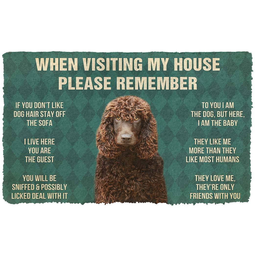 Bugybox 3D Please Remember Irish Water Spaniel Dogs House Rules Doormat