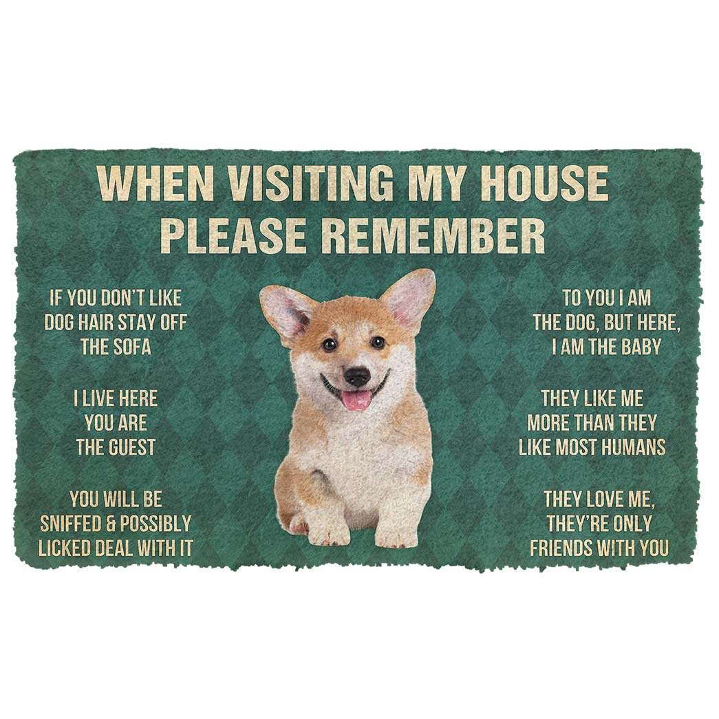 Bugybox 3D Please Remember Corgi Puppy Dogs House Rules Doormat