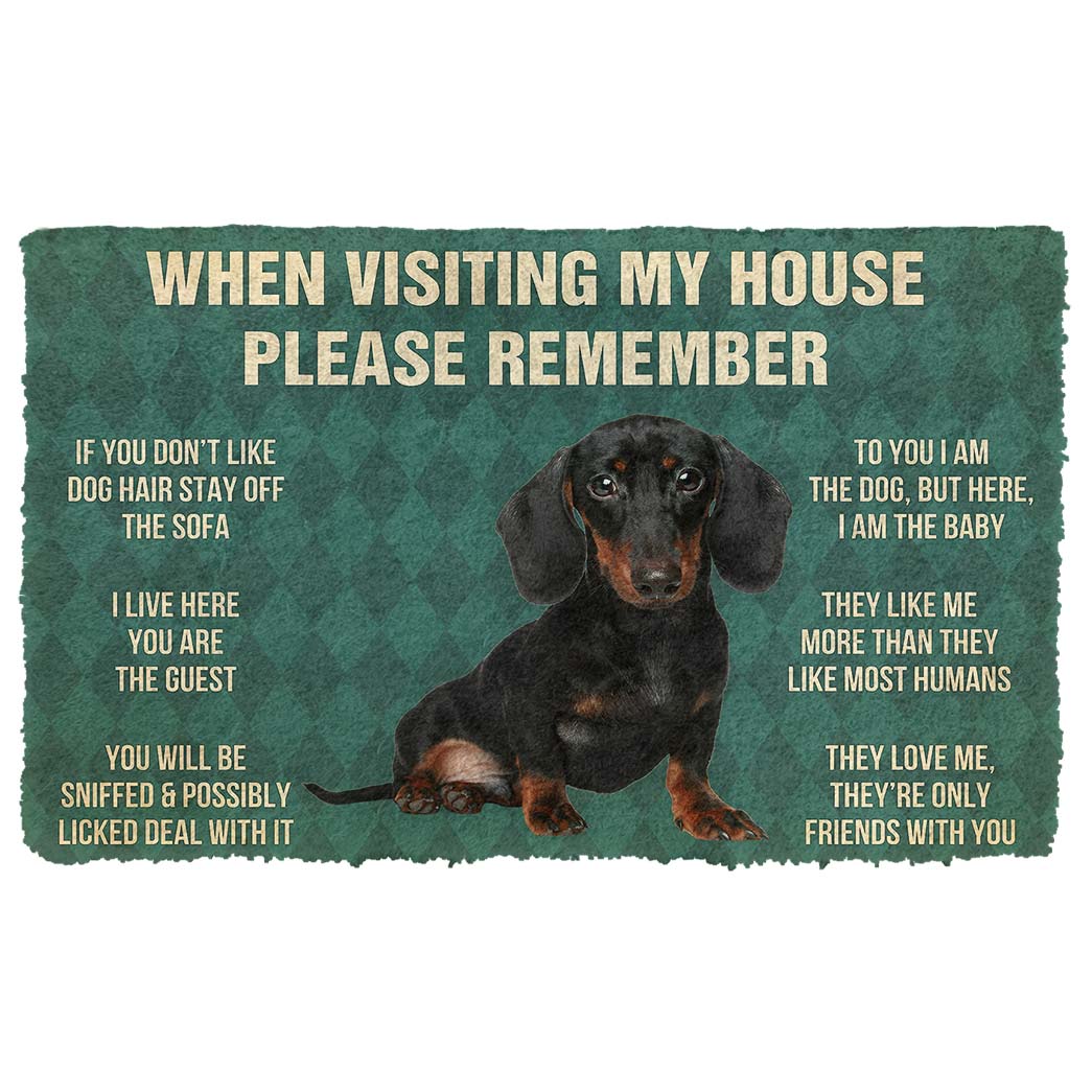 Bugybox 3D Please Remember Dachshunds Puppy Dogs House Rules Doormat