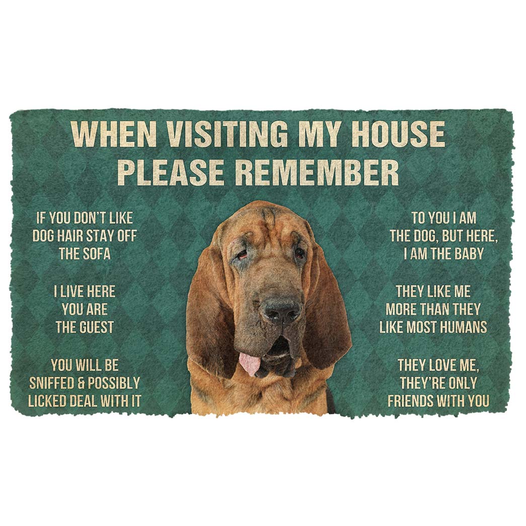 Bugybox 3D Please Remember Bloodhound Dogs House Rules Doormat